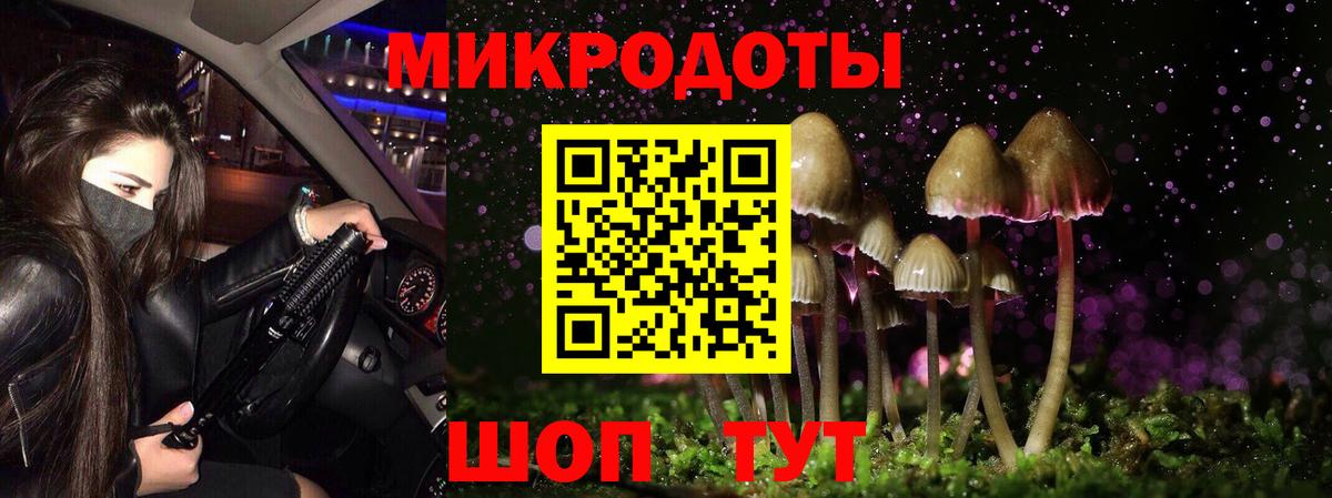 Галлюциногенные грибы Psilocybe Бутурлиновка